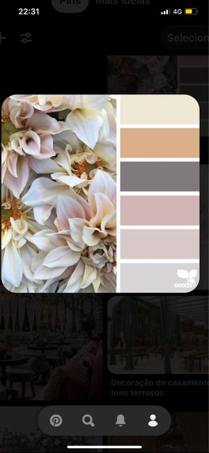 Ajuda com a paleta de cores 3
