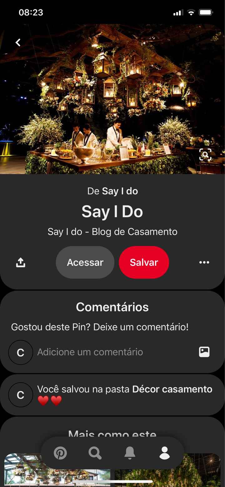 Escolhi isso para animar mais a festa - bruna - 1