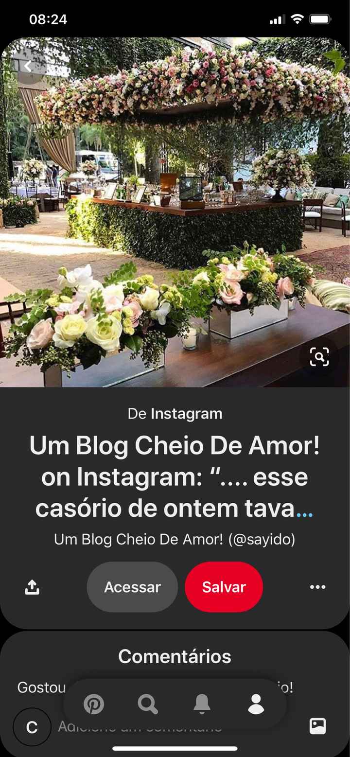 Escolhi isso para animar mais a festa - bruna - 3