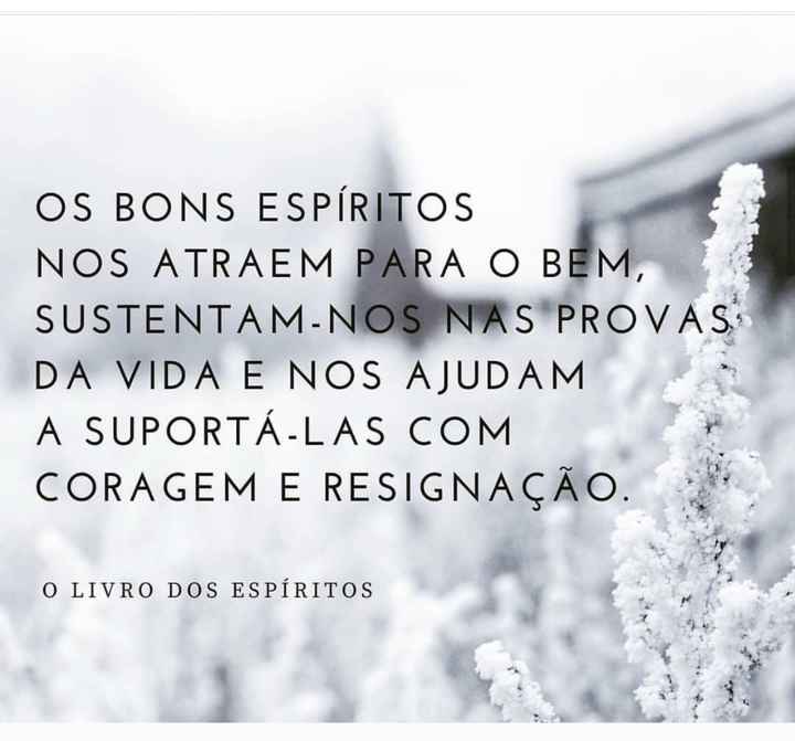 Um bom dia com alegria - 1