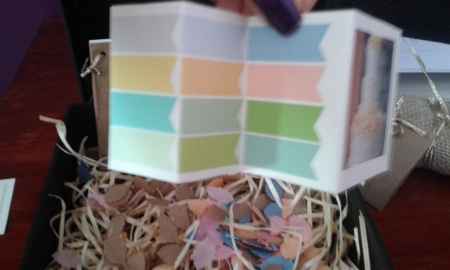 paleta