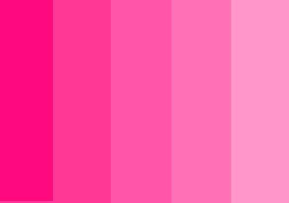 Paleta de cores