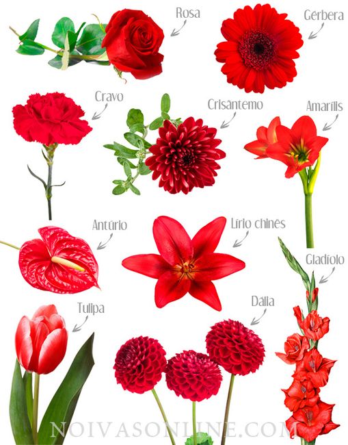 Decoração Vermelho e Dourado 2