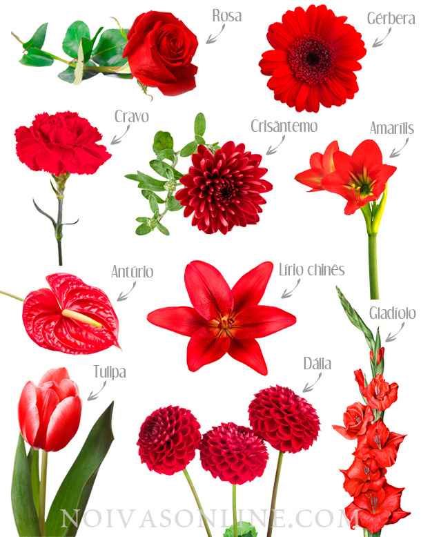Decoração Vermelho e Dourado - 1