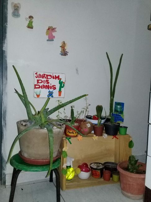 Amamos plantinhas!!