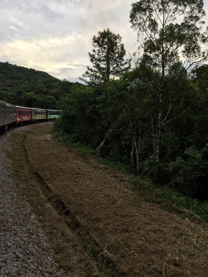 Passeio de Trem