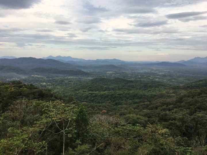 Passeio de Trem