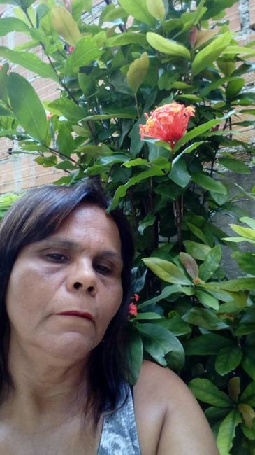 Mãe do Noivo