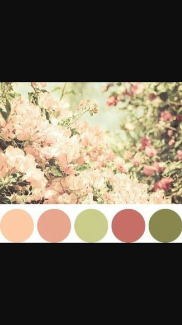 Idéias de paleta de cores - 11