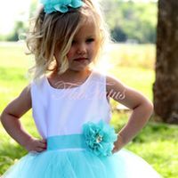 daminha