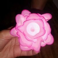 Comprei minhas forminhas para os doces - 2