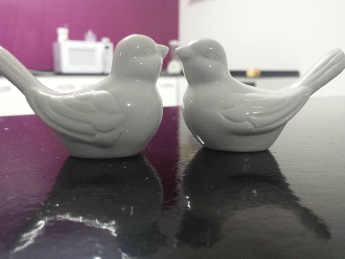 Casal de passarinhos
