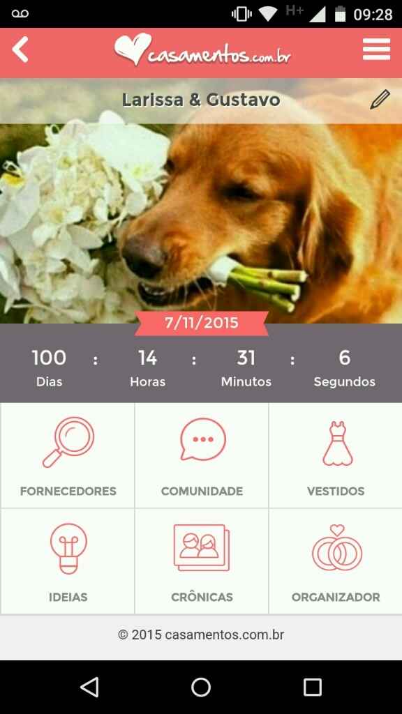 Falta 100 dias - 1