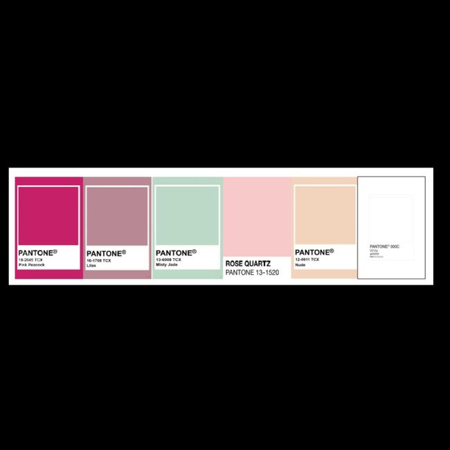 Paleta de cores Casamento #janicejoão 3