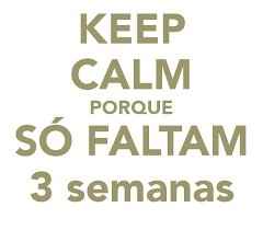 Faltam 16 dias!!!! - brigas & cia - 1