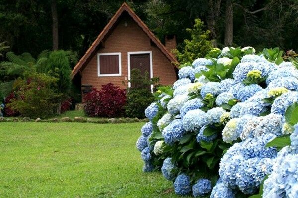 Lua de mel (s.o.s) - 1