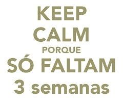 Faltam 16 dias!!!! - brigas & cia - 1