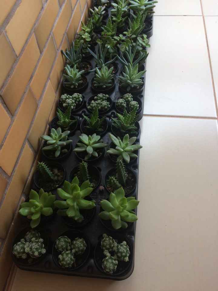Lembrancinhas - 1