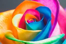 buque lindo