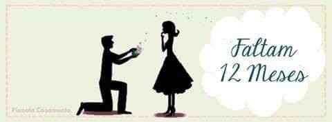 12 meses