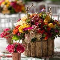 FLORES DE VARIAS CORES