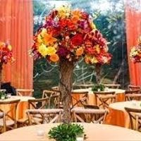FLORES 