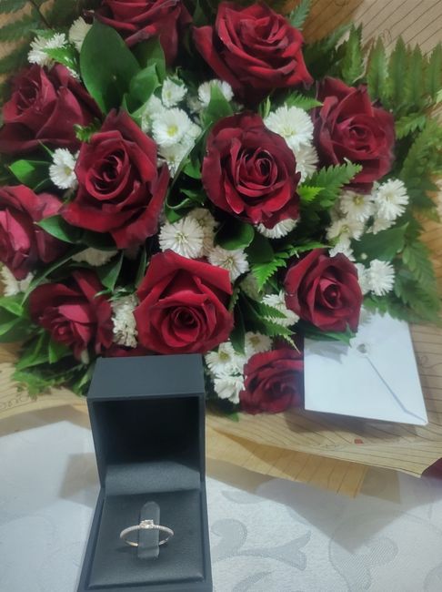 Quarta-feira de fotos 📷 27