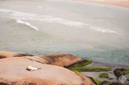 Brisa do mar