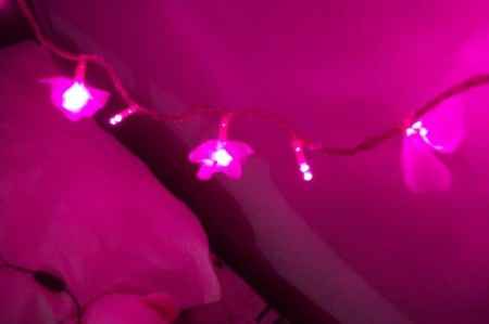 Meu quarto 