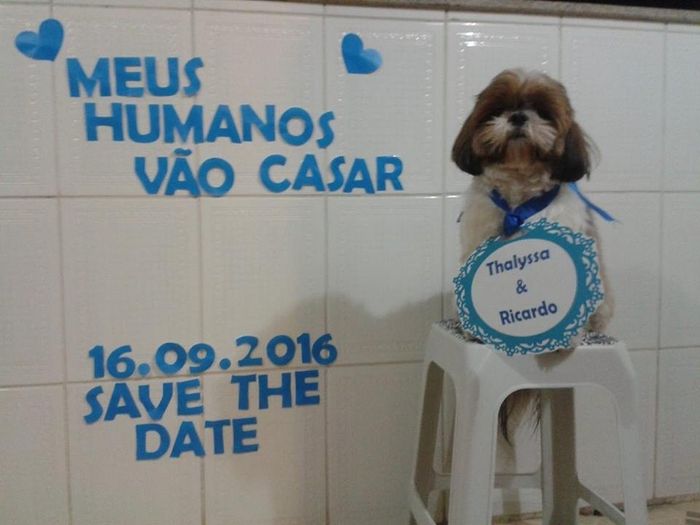 Ainda sem edição...