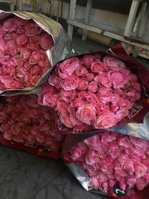 A hora da escolha dos tons das flores .. 