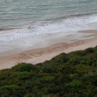 Pedido de casamento - 2