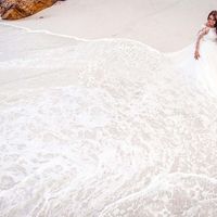 Trash The Dress