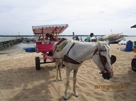 Lua de mel natal