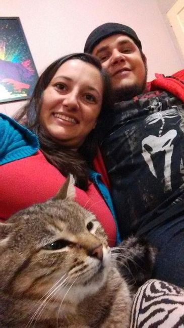 Meu gatão