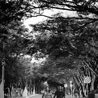 Meu Pré Wedding em Holambra Sp, vem ver!! - 7