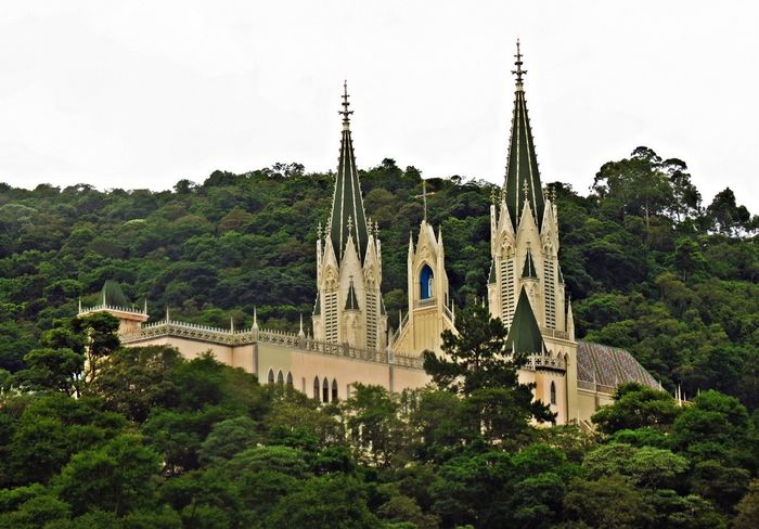 Arautos