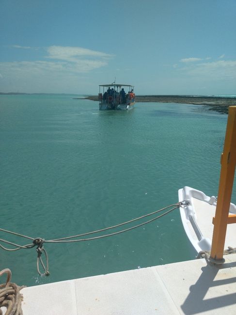 Passeio de Barco