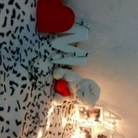 Supresa para meu amor - 6