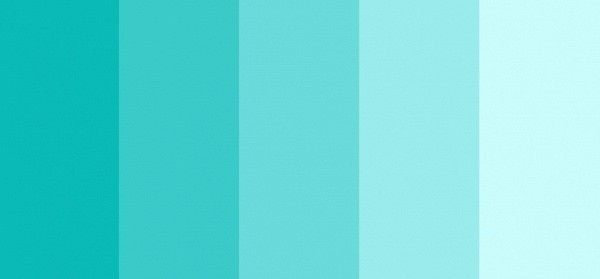 Inspiração - paleta de cores