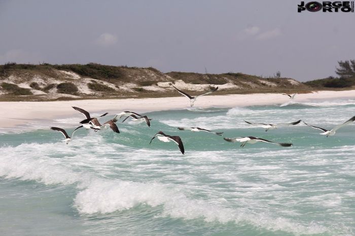 Arraial do cabo