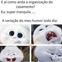 Quem mais se identifica? - 1
