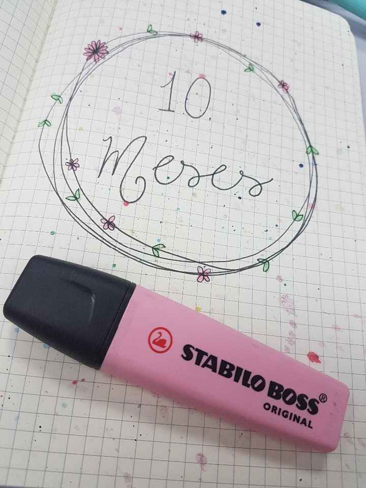 capa 10 meses
