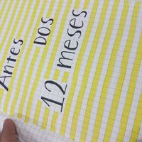 capas check list