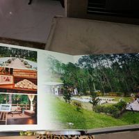 Meu álbum de casamento❤ - 2