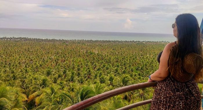 Dicas: lua de mel em Alagoas e Pernambuco - 9