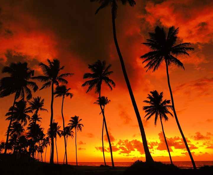 Praia de Muro Alto
