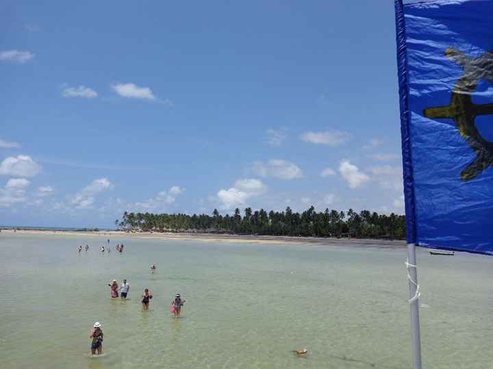 Praia dos Carneiros (Passeio de Catamaran)