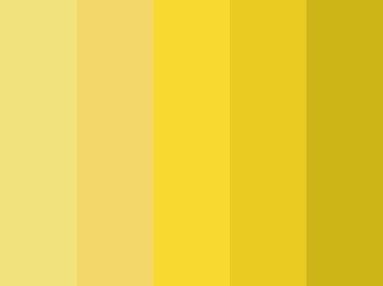 Paleta de cores - Amarelo