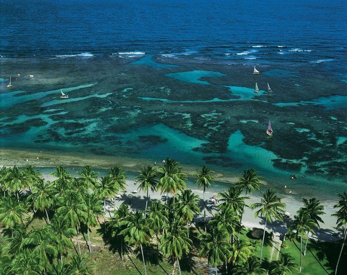 Porto de Galinhas/PE - Brasil